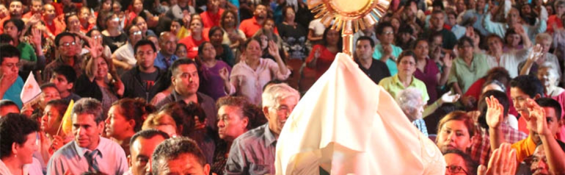 Celebra 2016-3